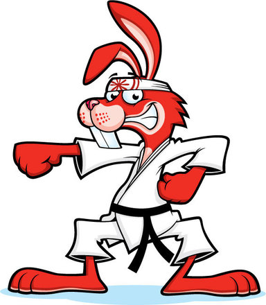karate-bunny1